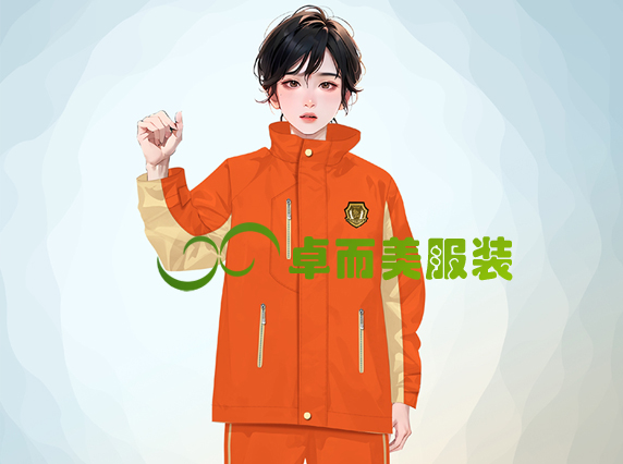 校服冲锋衣班服定制采购设计方案